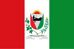 Bandeira de União dos Palmares - AL